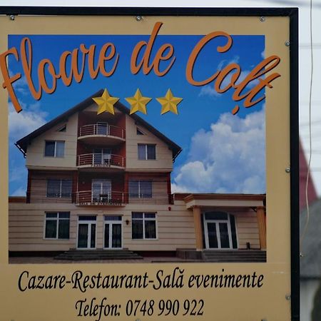 Hotel Floare De Colt Berbesti Esterno foto