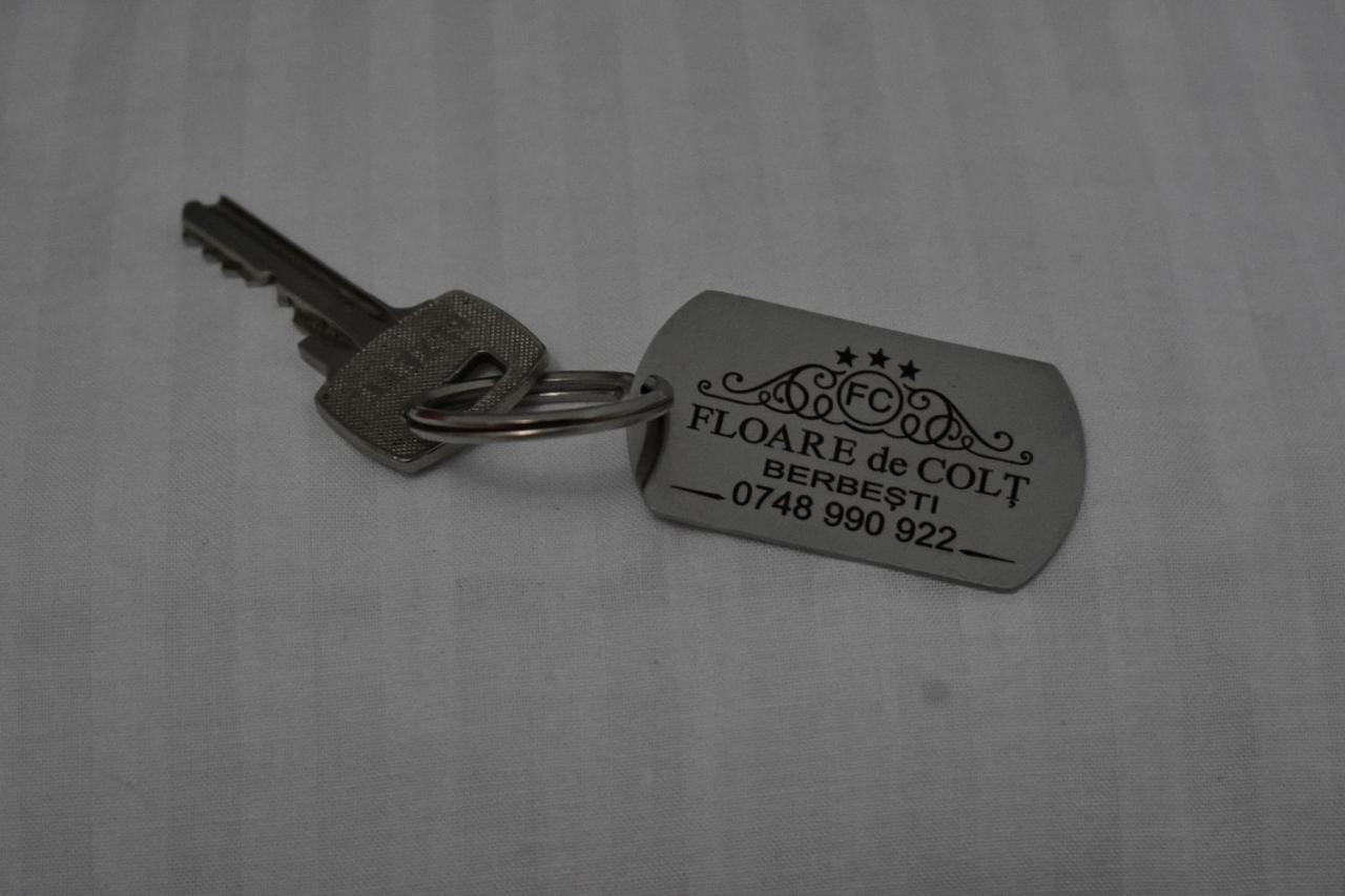 Hotel Floare De Colt Berbesti Esterno foto